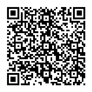 找了一个大石头把洞口遮起来之后才顺着那条刚刚挖出来的密道来到了一处密室之内二维码生成