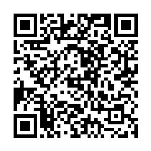 找到一个可以让双方平衡并且能够抑制他们造反的方法二维码生成