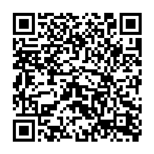 找到掌门商议一阵后从大殿出来的童人美快速召集了二十名蓝玉门弟子训话二维码生成