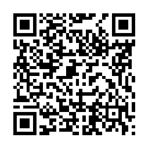 承载着三只血妖姬的树心消失之前的模样回朔了出来~二维码生成