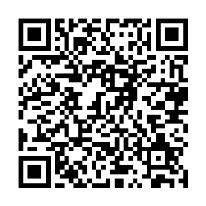 技术人员在原本的动力背包位置塞入了一个碧绿的圆球二维码生成