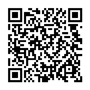 把一个活泼明朗敢爱敢恨的墨精饰演得淋漓尽致二维码生成