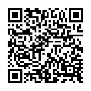 把一只只活生生的动物丢到高速转动的绞肉机中是什么情景二维码生成