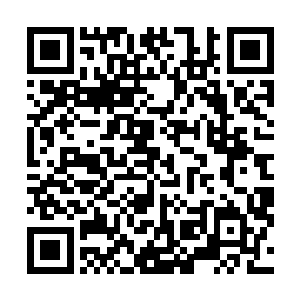 把一条百余丈的势魂生生压缩到了自己的火焰长袍当中去二维码生成