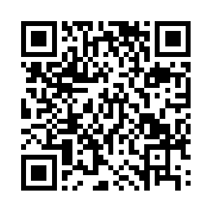 把一缕缕柔和的月光透进树林山野和小溪二维码生成