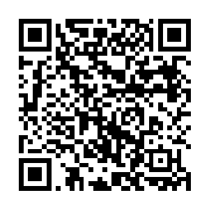 把主要业务来源和飞舰的主要飞行线路复制了一份出来二维码生成