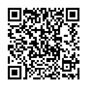 把刚刚找首饰匠清理好的玉镯子戴在了林雨馨的手上二维码生成