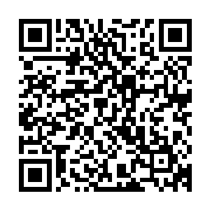 把原本在苏瑷怀中已经快睡着的小家伙给拎放到了一旁的小床上二维码生成