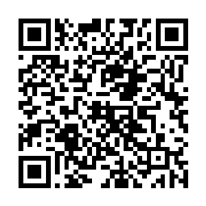 把她本就乱的脑袋震得一瞬间好似塞进了无数的棉花团二维码生成