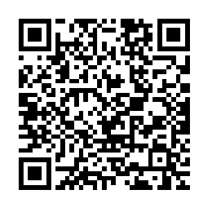把当时和阮荷黎的对话统统当做报复他的工具一字不落地砸向他二维码生成