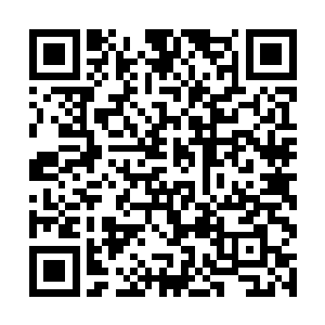 把我体内的这条拿出来……就再也感受不到你了……二维码生成
