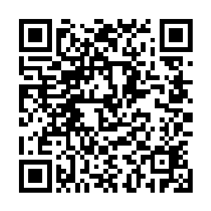 把我刚才找到的那几件睡裙从衣柜里面一股脑儿全拿了出来二维码生成