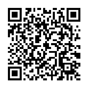 把我的兄弟姐妹们安插在我府中的探子全部给杀掉了二维码生成