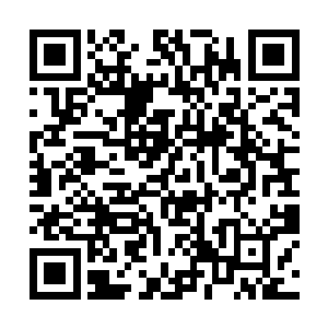 把手中的高档的烟酒礼品都递到了林父和林母的手中二维码生成