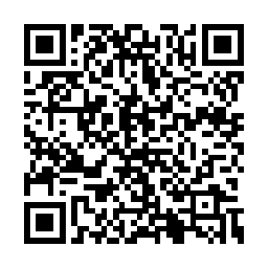 把自己推出去给微软现任的首席执行官当替罪羊二维码生成