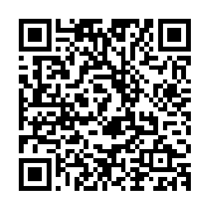 把自己跟女儿的血液数据存在中华血库的前因后果全都说了一遍二维码生成