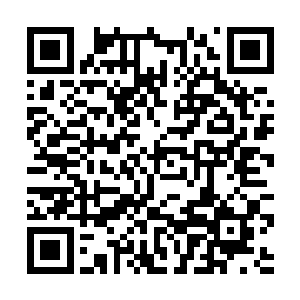 把解开的腰带拿在手上抖得像抽鞭子一样的啪啪作响二维码生成