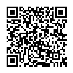 把这次招商引资和经贸洽谈会的计划写出来给我二维码生成