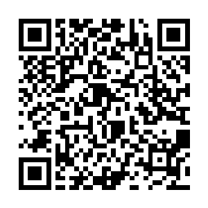 把这次盗取二次元空间技术资料作为最后的一次行动二维码生成
