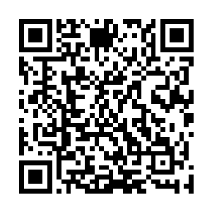 把阿萨斯扔到颜料里然后让它在画纸上打滚就齐活儿了啊二维码生成