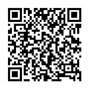 抓住碧玉婴灵的手瞬间青筋暴起狠狠的捏紧它细小的脖颈二维码生成