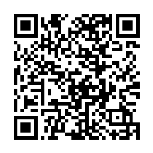 抓你父亲的可是市局副局长薛兆国和刑侦一处的处长范正法二维码生成