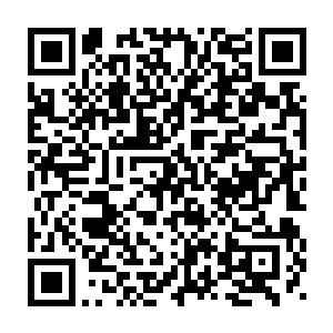 抱着善意的相识之人在这种环境下的相依为命似乎是毋庸置疑的选择二维码生成