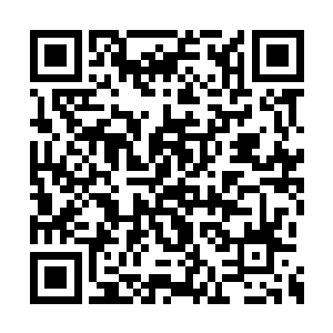 抽出空来的秦薇薇立刻从储物戒内再次召出弓箭二维码生成