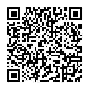 抽取了他们的水之力后随手把他们丢到正在捞鱼封印的其他人那边二维码生成