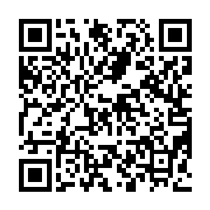 拄着他身边的一根再普通不过的拐杖向另一件房子走去二维码生成