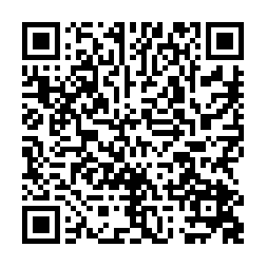 拉拢附近三棵品字形距离一米多左右的小树在顶端用树藤捆扎起来形成骨架二维码生成