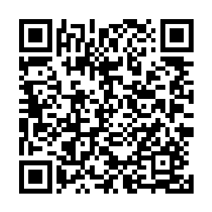 拒绝了众多的组队邀请花了一个多月的时间才回到了青龙城二维码生成