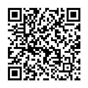 招商银行的业务经理和相关的会计律师也已经到了二维码生成