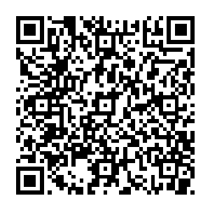 拥有着厚重龟壳的玄武也是直接被这波塞冬全力投掷而出的黄金战车给砸碎了龟壳二维码生成
