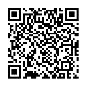 拯救了所有人……我们没有理由也没有权力继续扣押他们二维码生成