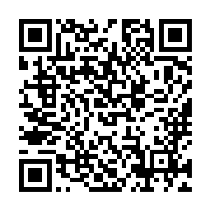 拿人的手短……这些校领导虽然不算是收受贿赂之类的二维码生成