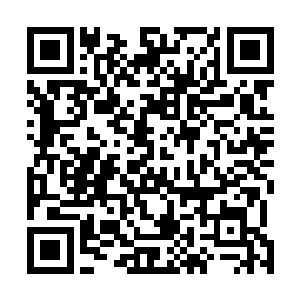 拿爪子捂嘴时既惊讶又愤怒的样子实在是太娇憨太可爱了二维码生成