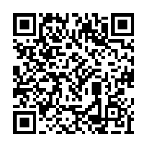 拿着那粒早就硬的和石头一样的黄豆怔怔的看着二维码生成