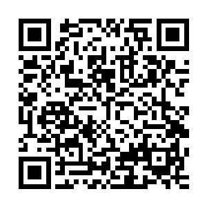 拿着钱包从里面将半身卡还有门卡房卡零零碎碎的都交给乔荞二维码生成