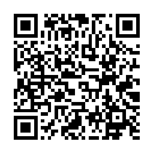 拿脚踢了踢这位从天下最尊贵的皇城沦落到北凉王府的牢笼二维码生成