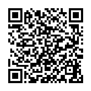 指不定几年十数年数十年就能够创造出一门不错的圣域绝学二维码生成