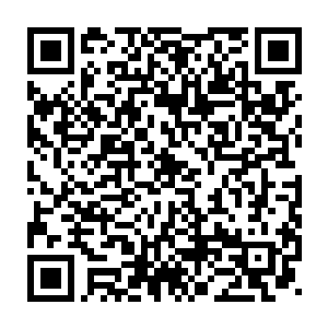 指动作类游戏中某一个动作在发生后不可输入指令操作的持续过程二维码生成