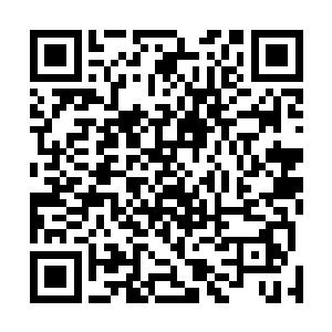 指挥附庸军的土司首领们倒还敢和刘綎真刀真枪干上几场二维码生成