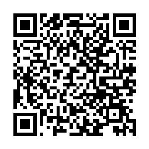指望在单细胞的恶魔中都以单细胞炮灰著称的狂战魔的承若二维码生成
