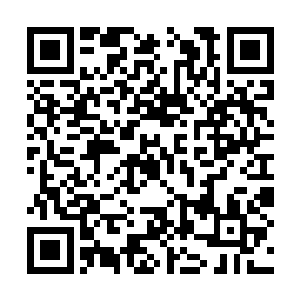 指的是丁羽跟几大家族究竟达成了什么样子的利益二维码生成