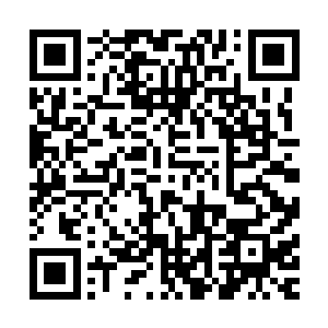 指着一头明显比黑旋风小了一号的大羊羔一脸不可置信的说道二维码生成