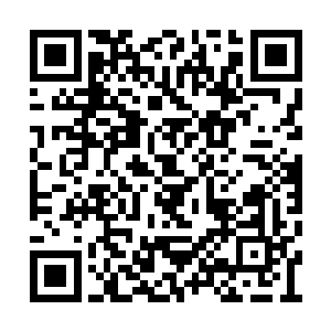 指着眼前只有弹珠大小的星核碎片大声的介绍道二维码生成