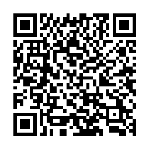按照他的计划自然是要将这海圣一族本体炼化成自己的一个分身二维码生成