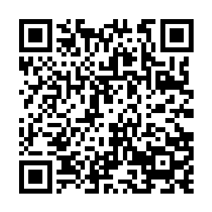 按照楚暮这两个月来的修炼效率和以往的对比情况二维码生成