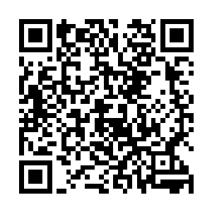 按照蒋玉然所说的英康宁昨晚可能会经过的路线走一遍二维码生成